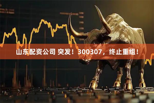 山东配资公司 突发！300307，终止重组！