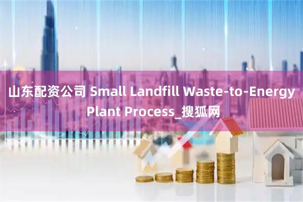 山东配资公司 Small Landfill Waste-to-Energy Plant Process_搜狐网