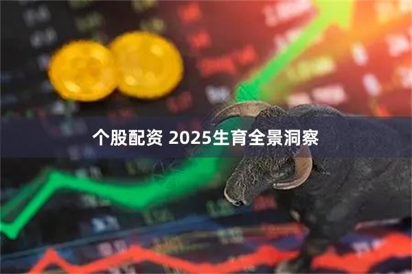 个股配资 2025生育全景洞察