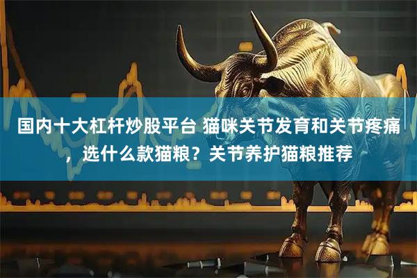 国内十大杠杆炒股平台 猫咪关节发育和关节疼痛，选什么款猫粮？关节养护猫粮推荐