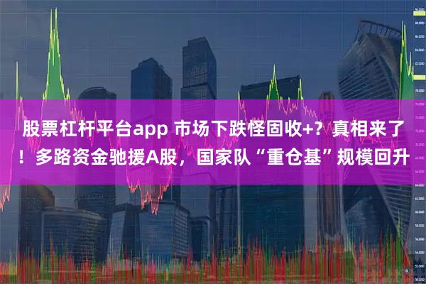 股票杠杆平台app 市场下跌怪固收+？真相来了！多路资金驰援A股，国家队“重仓基”规模回升